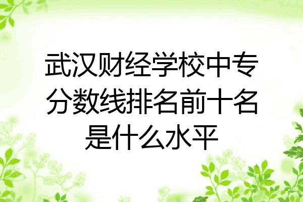 武汉财经学校中专分数线排名前十名是什么水平