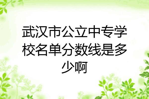 武汉市公立中专学校名单分数线是多少啊