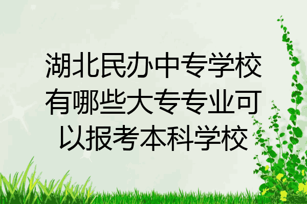 湖北民办中专学校有哪些大专专业可以报考本科学校