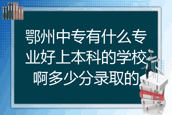 鄂州中专有什么专业好上本科的学校啊多少分录取的