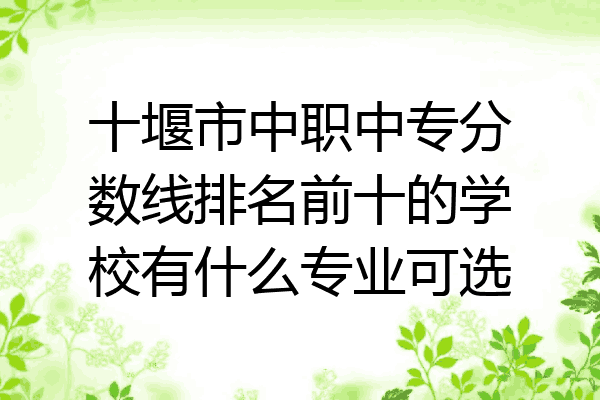 十堰市中职中专分数线排名前十的学校有什么专业可选
