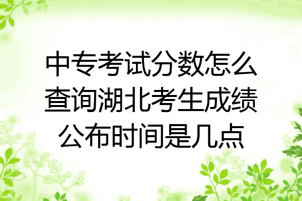 中专考试分数怎么查询湖北考生成绩公布时间是几点