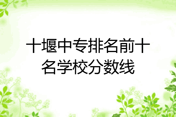 十堰中专排名前十名学校分数线