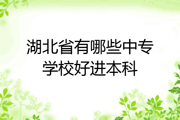 湖北省有哪些中专学校好进本科