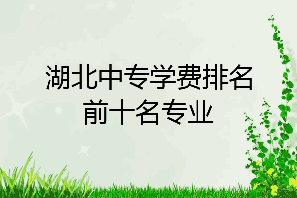 湖北中专学费排名前十名专业