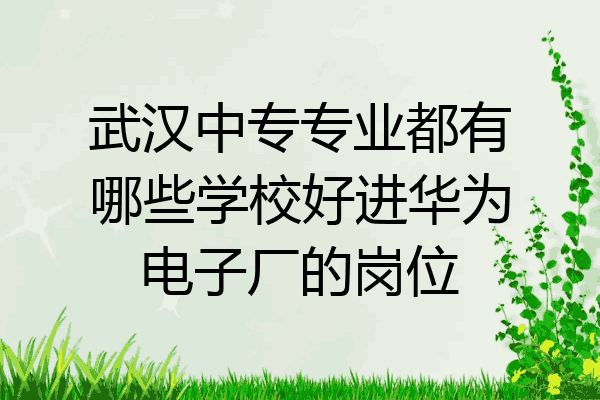武汉中专专业都有哪些学校好进华为电子厂的岗位
