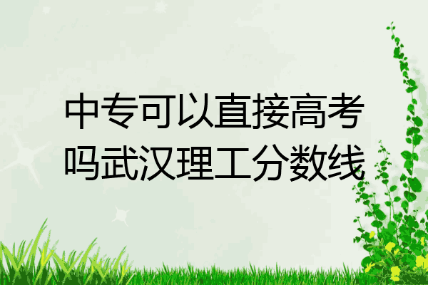 中专可以直接高考吗武汉理工分数线