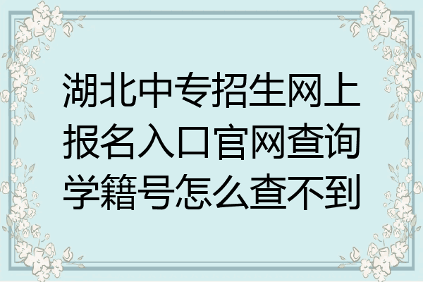 湖北中专招生网上报名入口官网查询学籍号怎么查不到