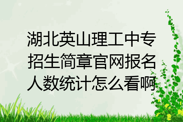 湖北英山理工中专招生简章官网报名人数统计怎么看啊