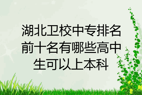 湖北卫校中专排名前十名有哪些高中生可以上本科
