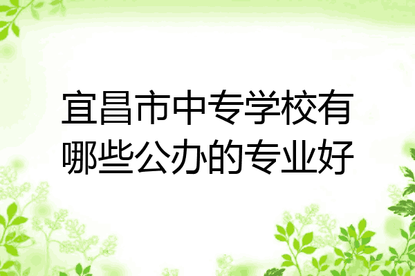 宜昌市中专学校有哪些公办的专业好