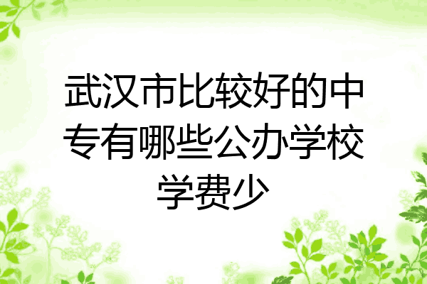 武汉市比较好的中专有哪些公办学校学费少