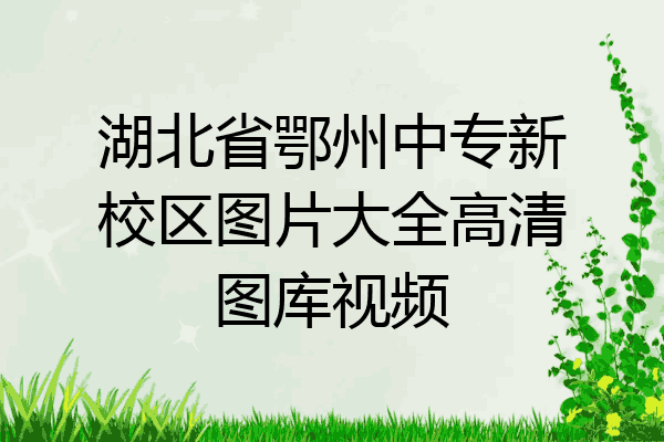 湖北省鄂州中专新校区图片大全高清图库视频