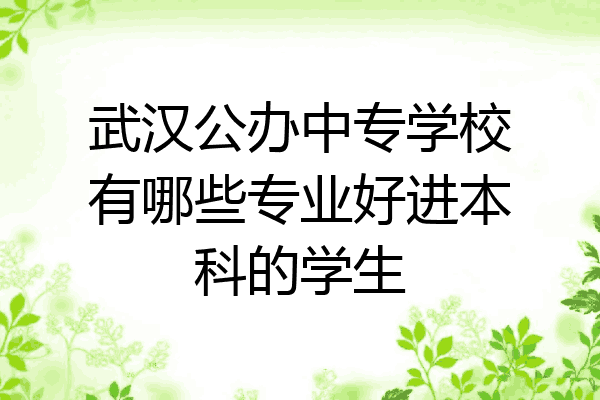 武汉公办中专学校有哪些专业好进本科的学生