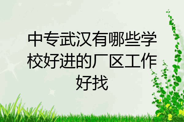 中专武汉有哪些学校好进的厂区工作好找