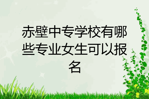 赤壁中专学校有哪些专业女生可以报名