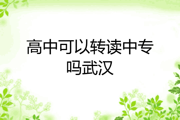 高中可以转读中专吗武汉