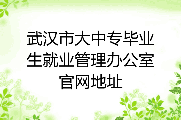 武汉市大中专毕业生就业管理办公室官网地址