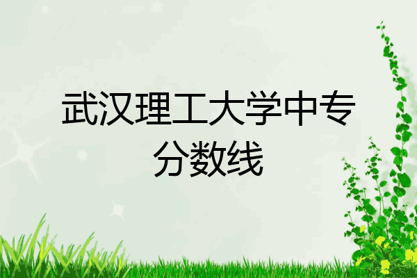 武汉理工大学中专分数线