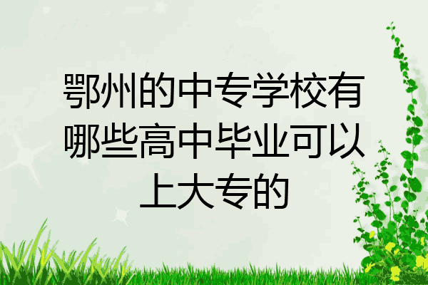 鄂州的中专学校有哪些高中毕业可以上大专的