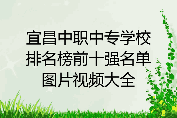 宜昌中职中专学校排名榜前十强名单图片视频大全