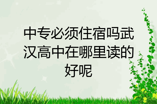 中专必须住宿吗武汉高中在哪里读的好呢