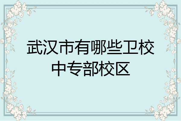 武汉市有哪些卫校中专部校区