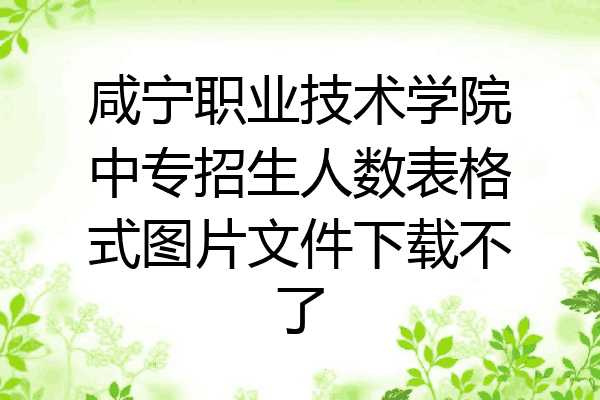 咸宁职业技术学院中专招生人数表格式图片文件下载不了