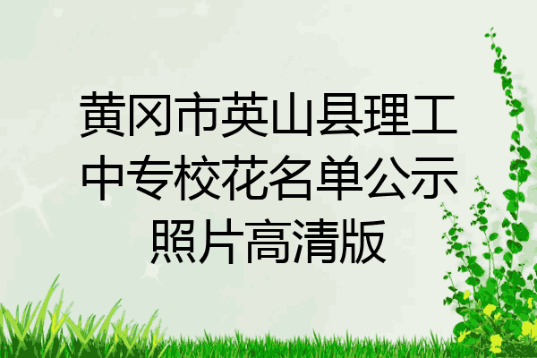 黄冈市英山县理工中专校花名单公示照片高清版