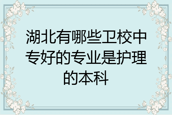 湖北有哪些卫校中专好的专业是护理的本科