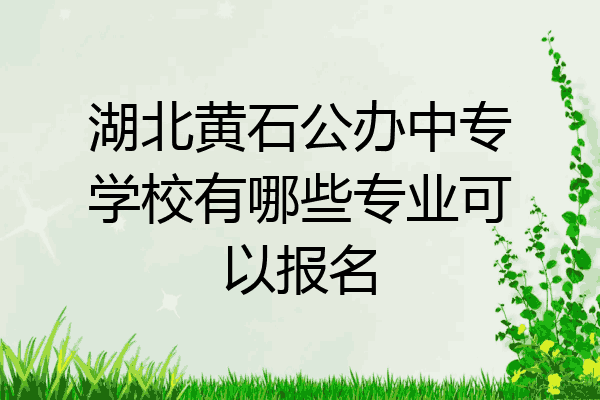 湖北黄石公办中专学校有哪些专业可以报名