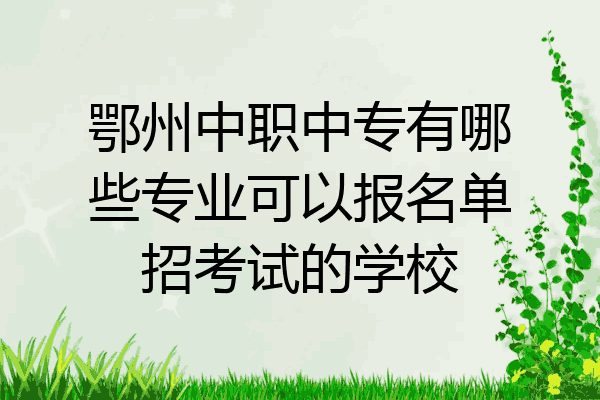 鄂州中职中专有哪些专业可以报名单招考试的学校