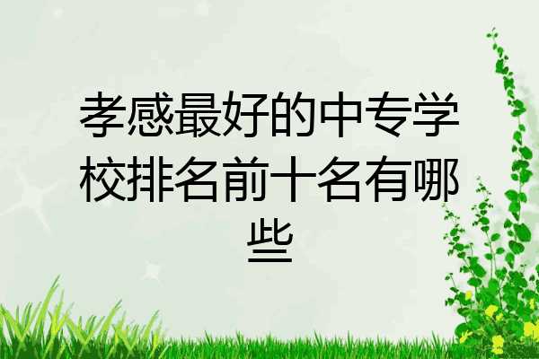 孝感最好的中专学校排名前十名有哪些