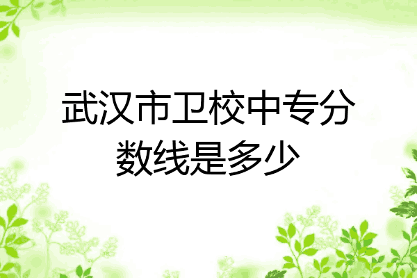 武汉市卫校中专分数线是多少