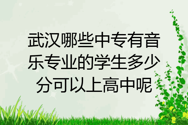 武汉哪些中专有音乐专业的学生多少分可以上高中呢