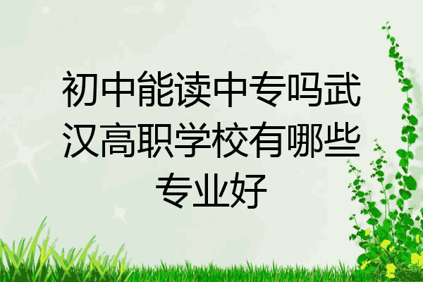 初中能读中专吗武汉高职学校有哪些专业好