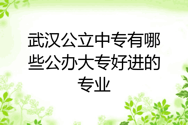 武汉公立中专有哪些公办大专好进的专业