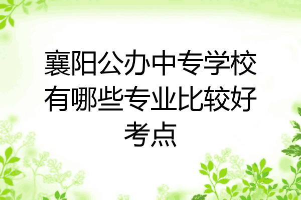 襄阳公办中专学校有哪些专业比较好考点