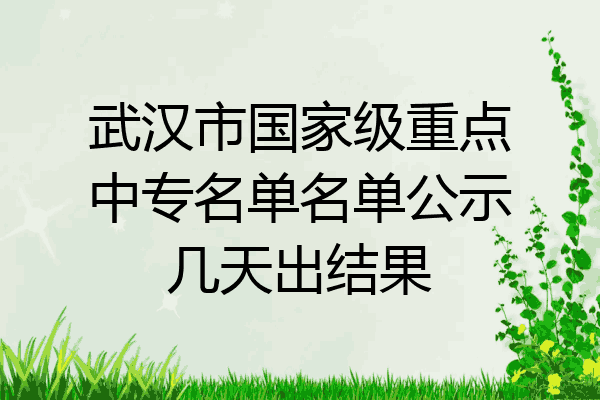 武汉市国家级重点中专名单名单公示几天出结果