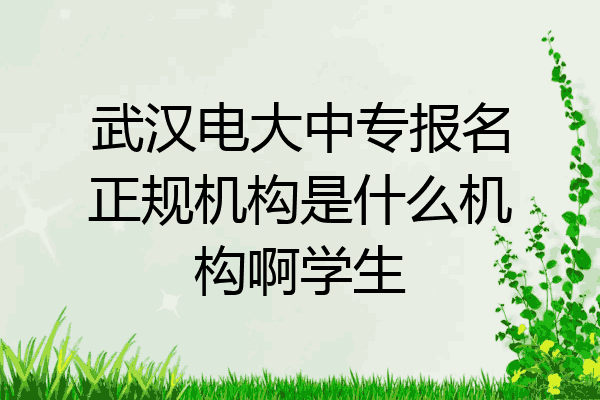 武汉电大中专报名正规机构是什么机构啊学生
