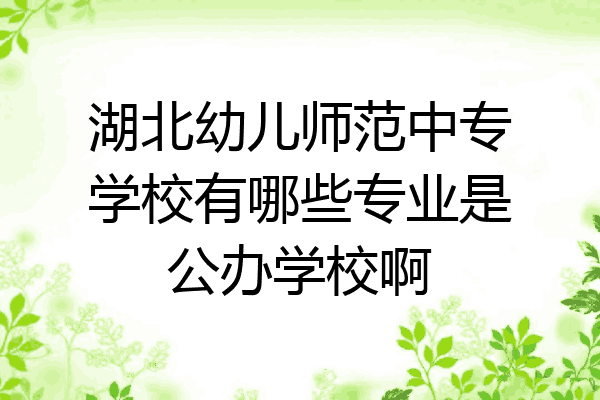 湖北幼儿师范中专学校有哪些专业是公办学校啊