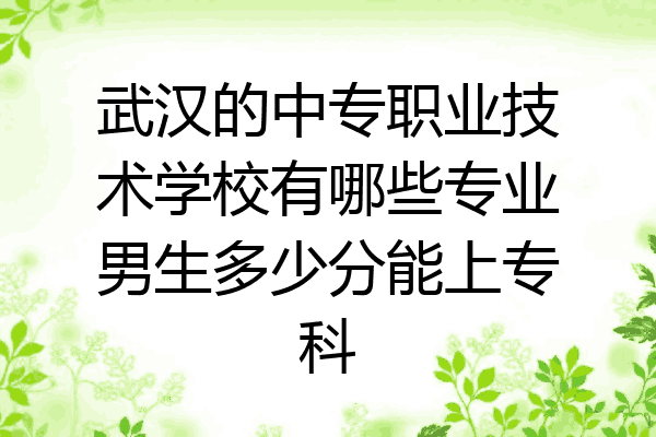 武汉的中专职业技术学校有哪些专业男生多少分能上专科