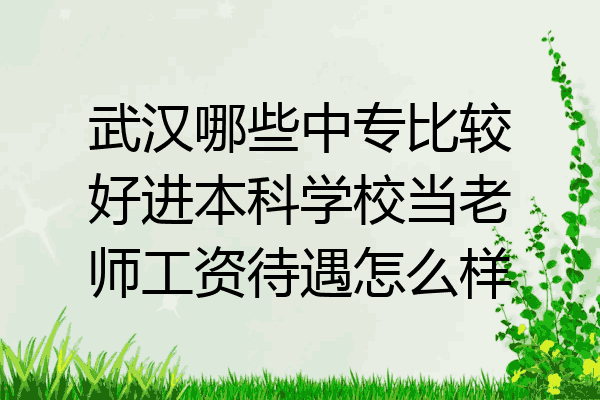 武汉哪些中专比较好进本科学校当老师工资待遇怎么样