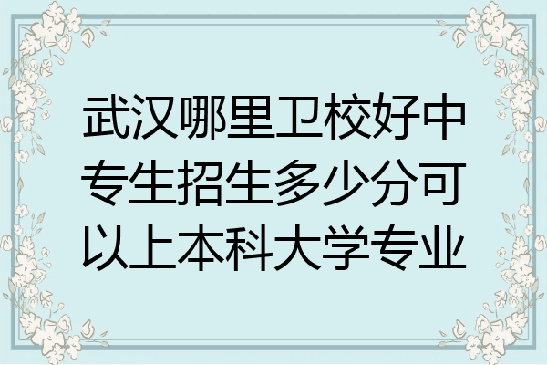 武汉哪里卫校好中专生招生多少分可以上本科大学专业