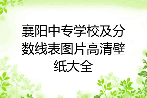 襄阳中专学校及分数线表图片高清壁纸大全