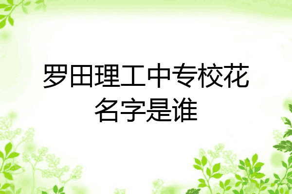 罗田理工中专校花名字是谁