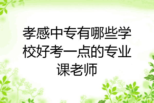 孝感中专有哪些学校好考一点的专业课老师