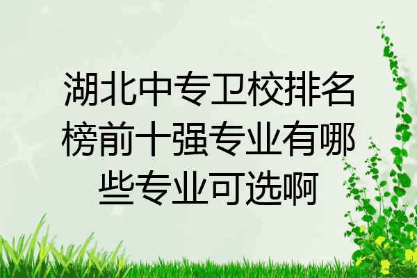 湖北中专卫校排名榜前十强专业有哪些专业可选啊