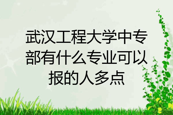 武汉工程大学中专部有什么专业可以报的人多点