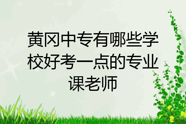 黄冈中专有哪些学校好考一点的专业课老师